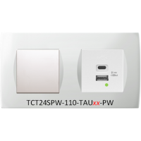 TEM SDA Contemporary Single Switched USB Socket-Charger-21W - 4.2A Switched Set